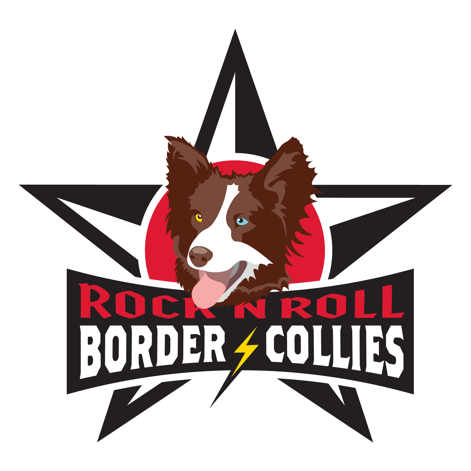 Rock N Roll Border Collies